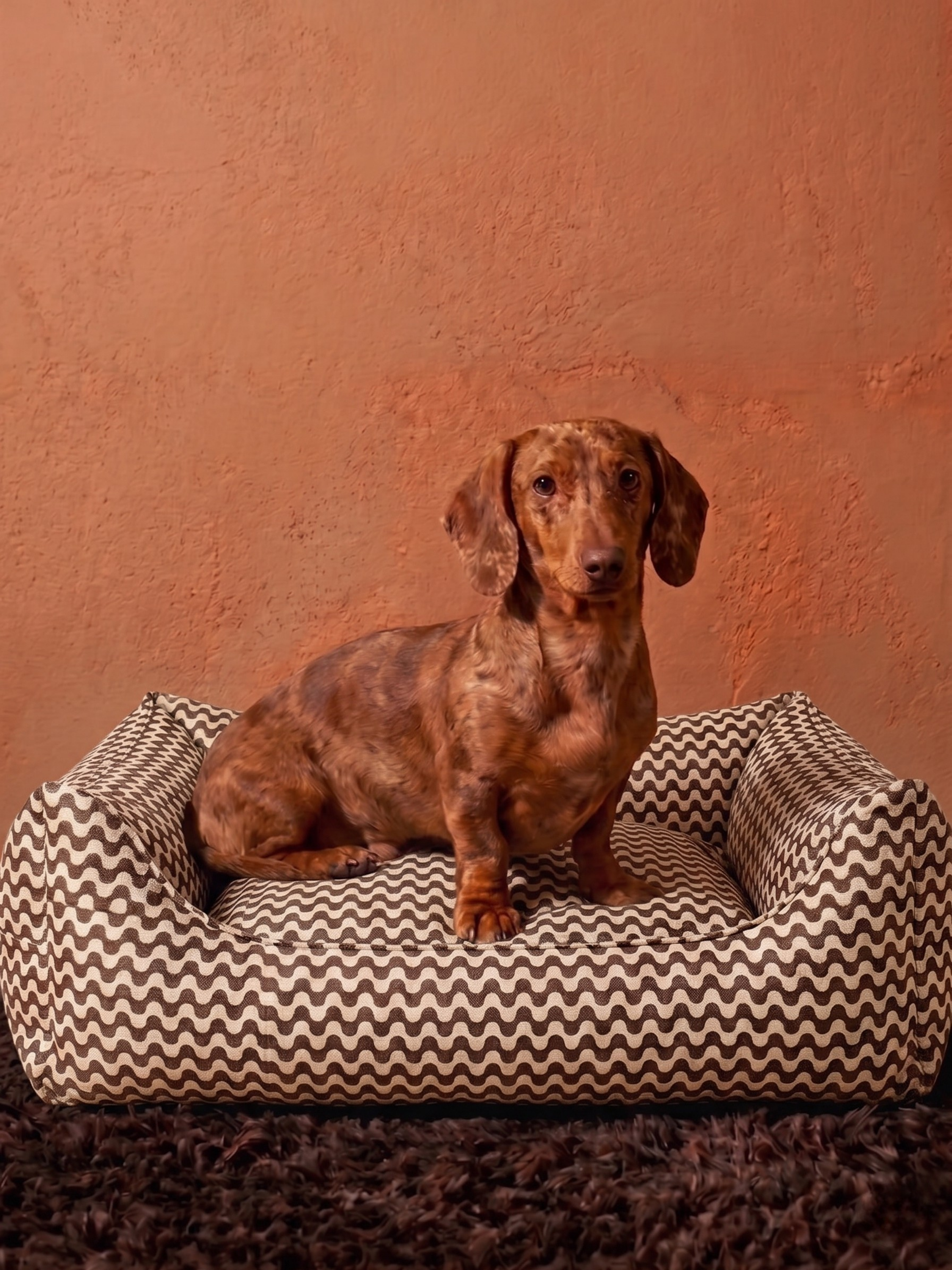 Cocoa Ripple Sofa Köpek Yatağı