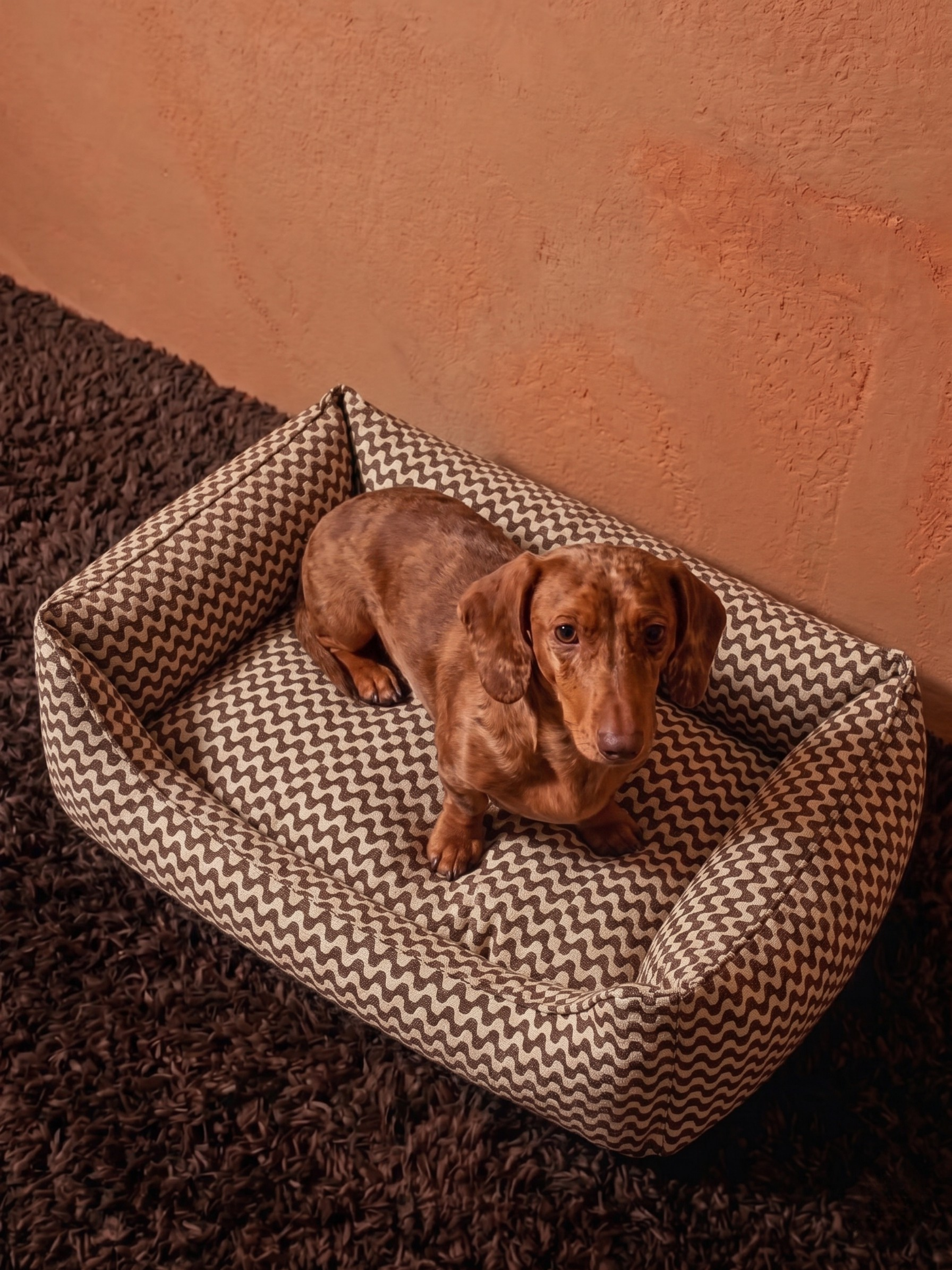 Cocoa Ripple Sofa Köpek Yatağı