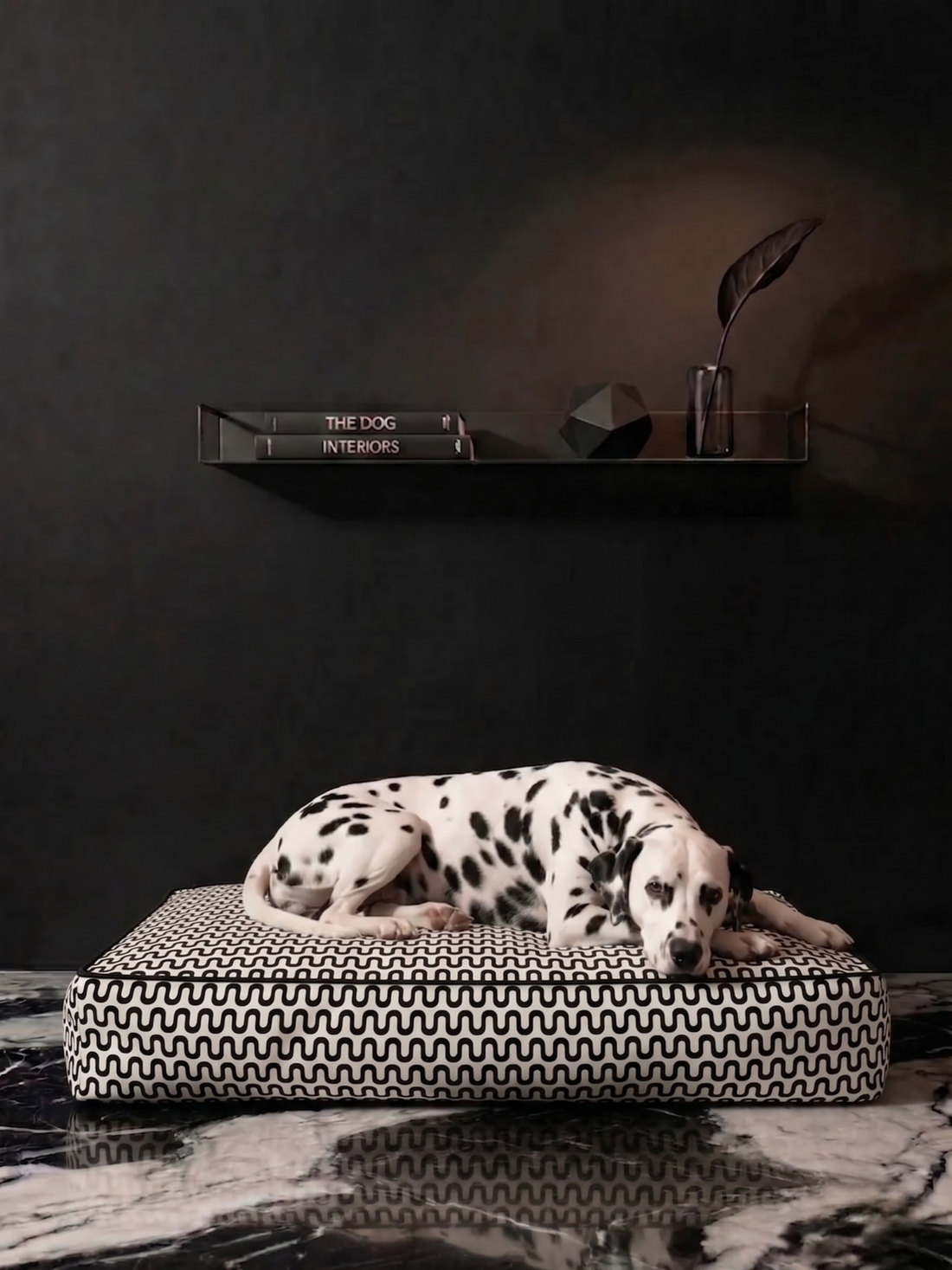 Monochain Köpek Yatağı