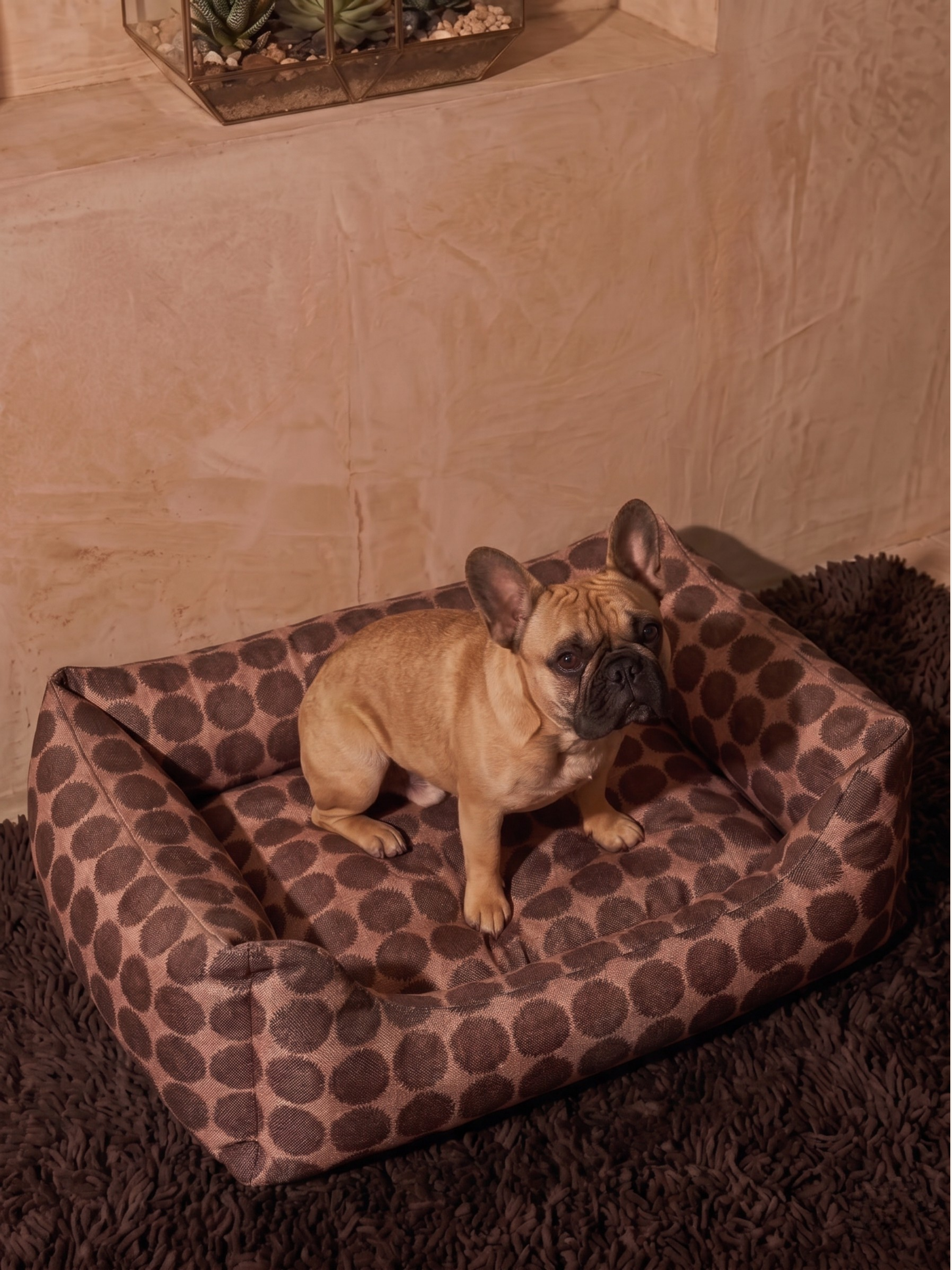 Terra Dot Sofa Köpek Yatağı