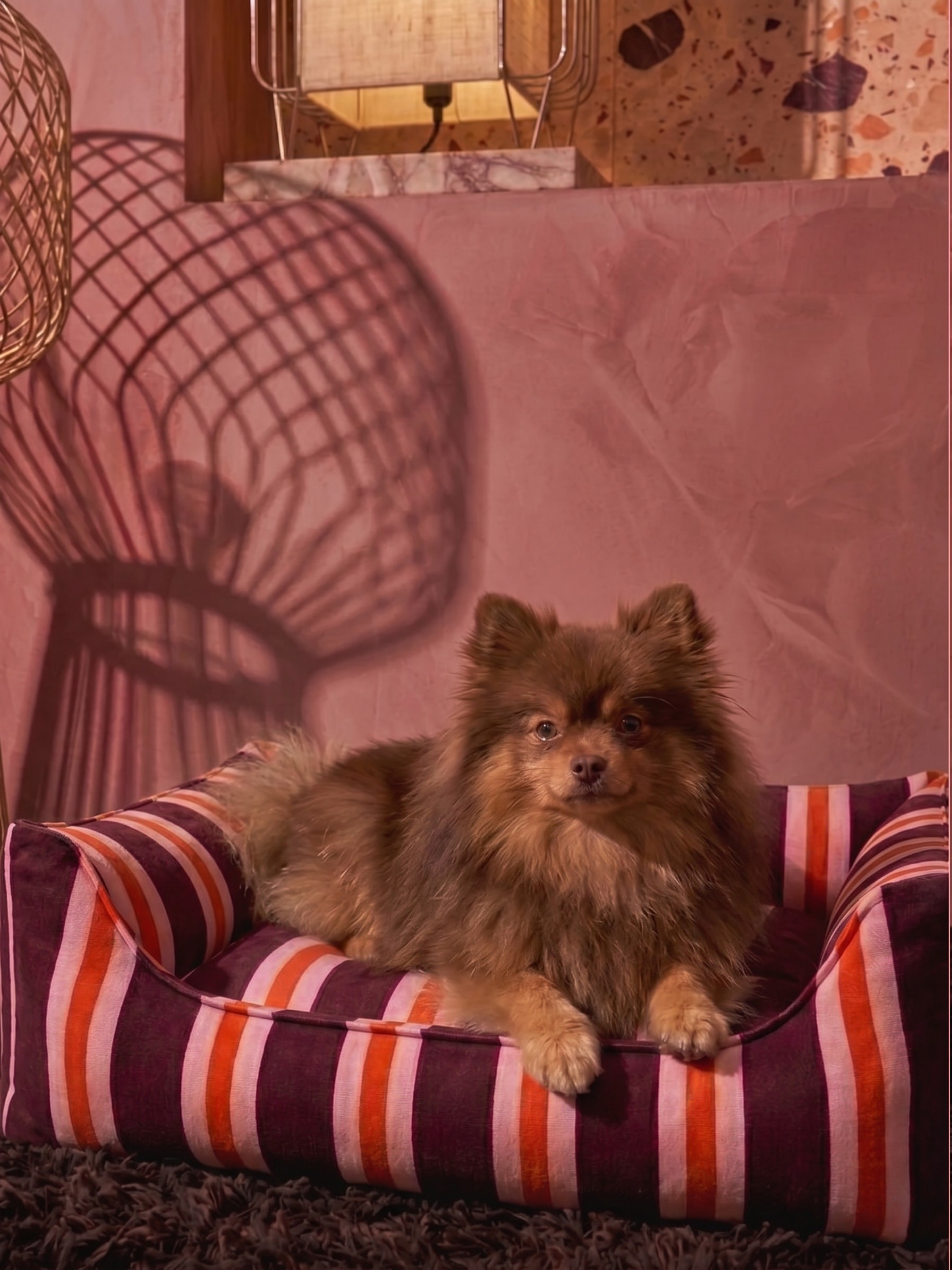 Veloura Rouge Sofa Köpek Yatağı