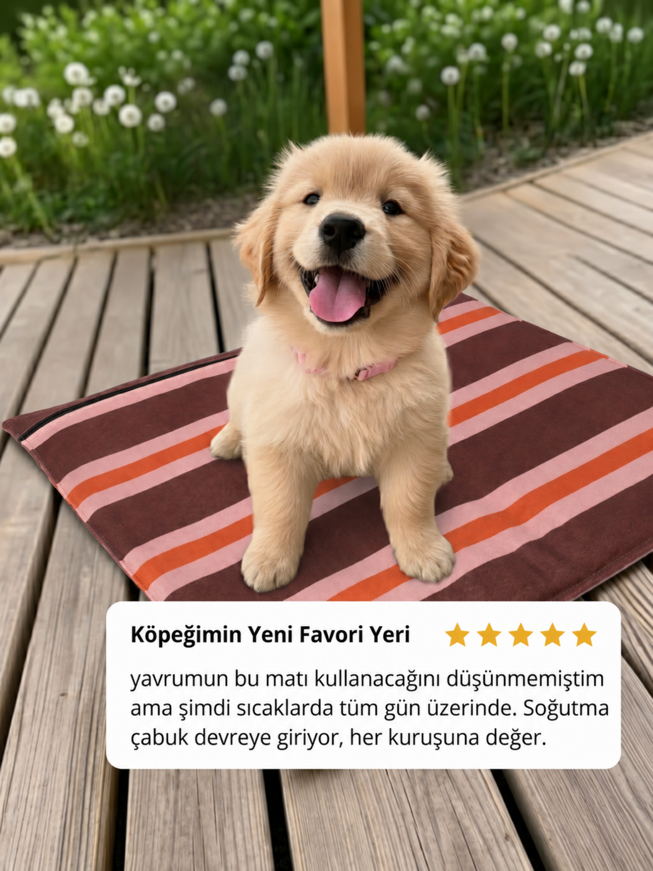 Pawways Soğuk Evcil Hayvan Matı
